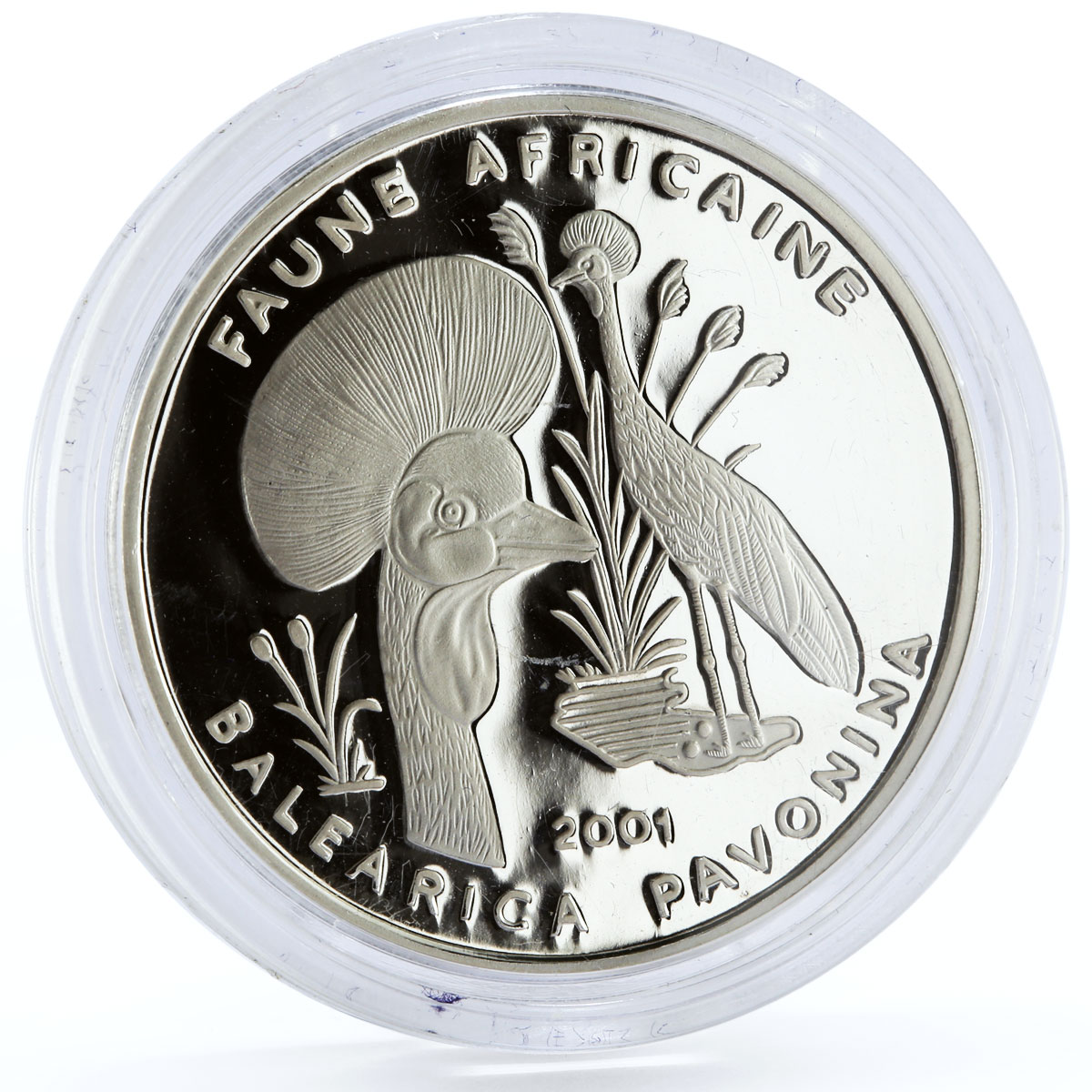 Chad 1000 francs Endangered Wildlife Bird of Paidise Fauna silver coin 2001