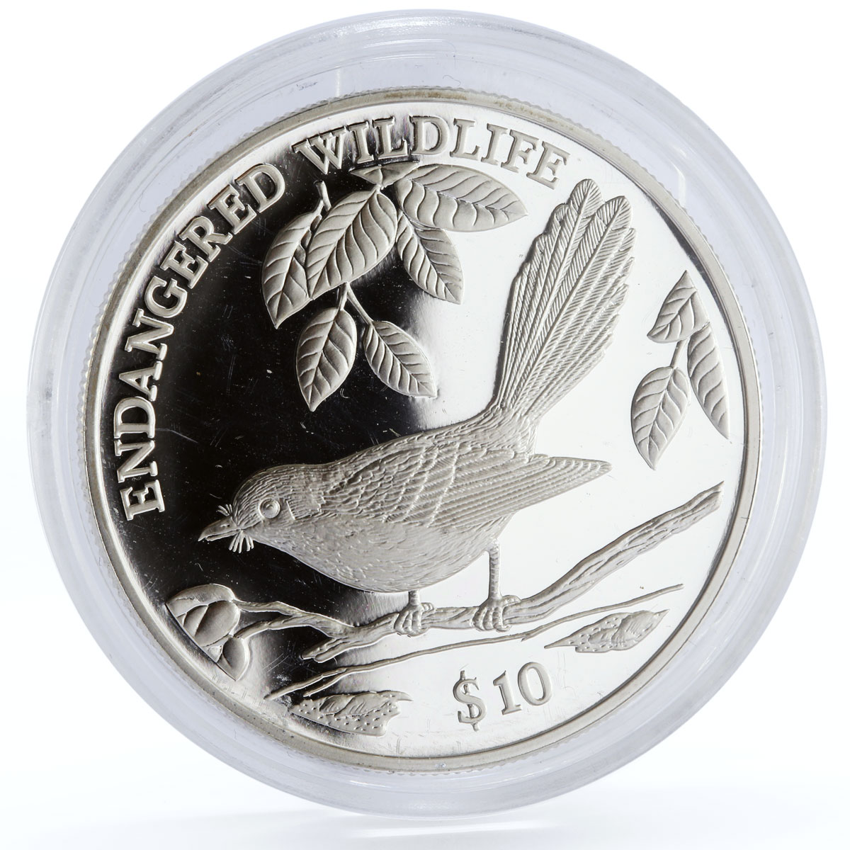 Fiji 10 dollars Endangered Wildlife Streaked Fantail Bird Fauna silver coin 1995