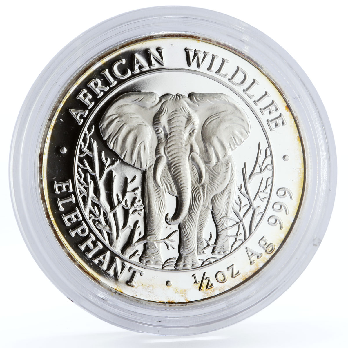 Somalia 500 shillings African Wildlife Elephant Fauna silver coin 2004