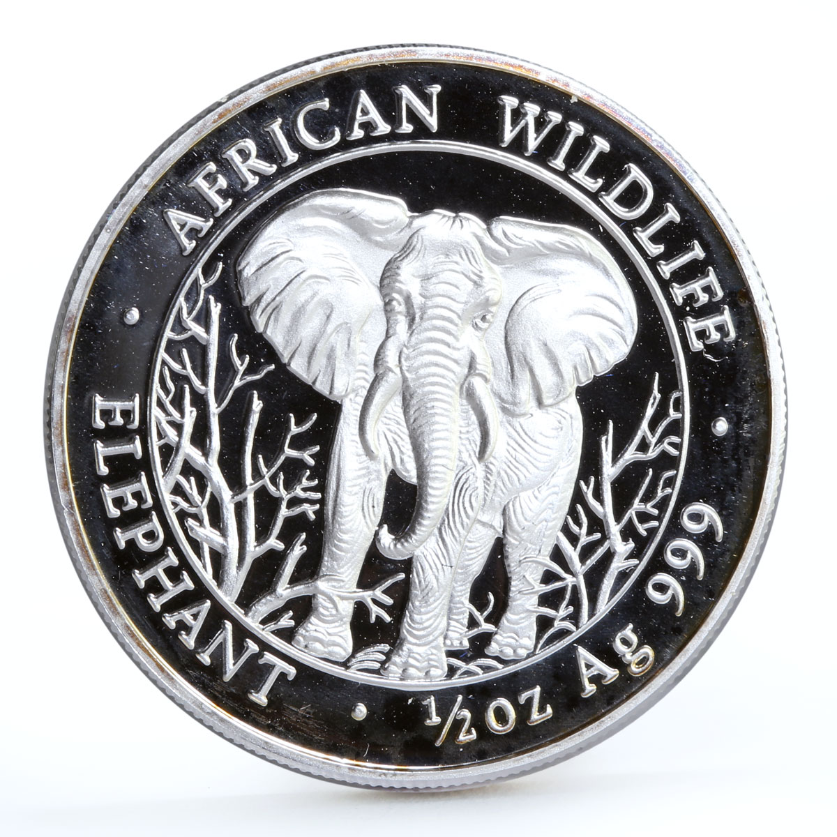 Somalia 500 shillings African Wildlife Elephant Fauna silver coin 2004