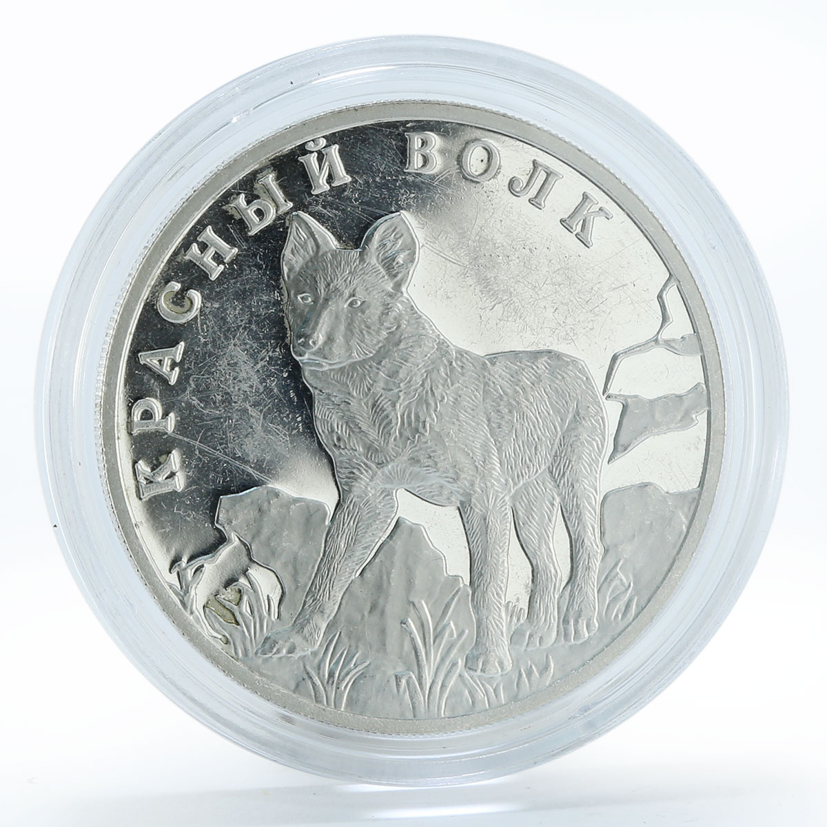 Russia 1 ruble Asiatic Wild Dog proof silver coin 2005