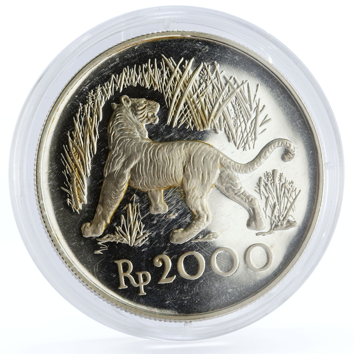 Indonesia 2000 rupiah Javan Tiger proof silver coin 1974