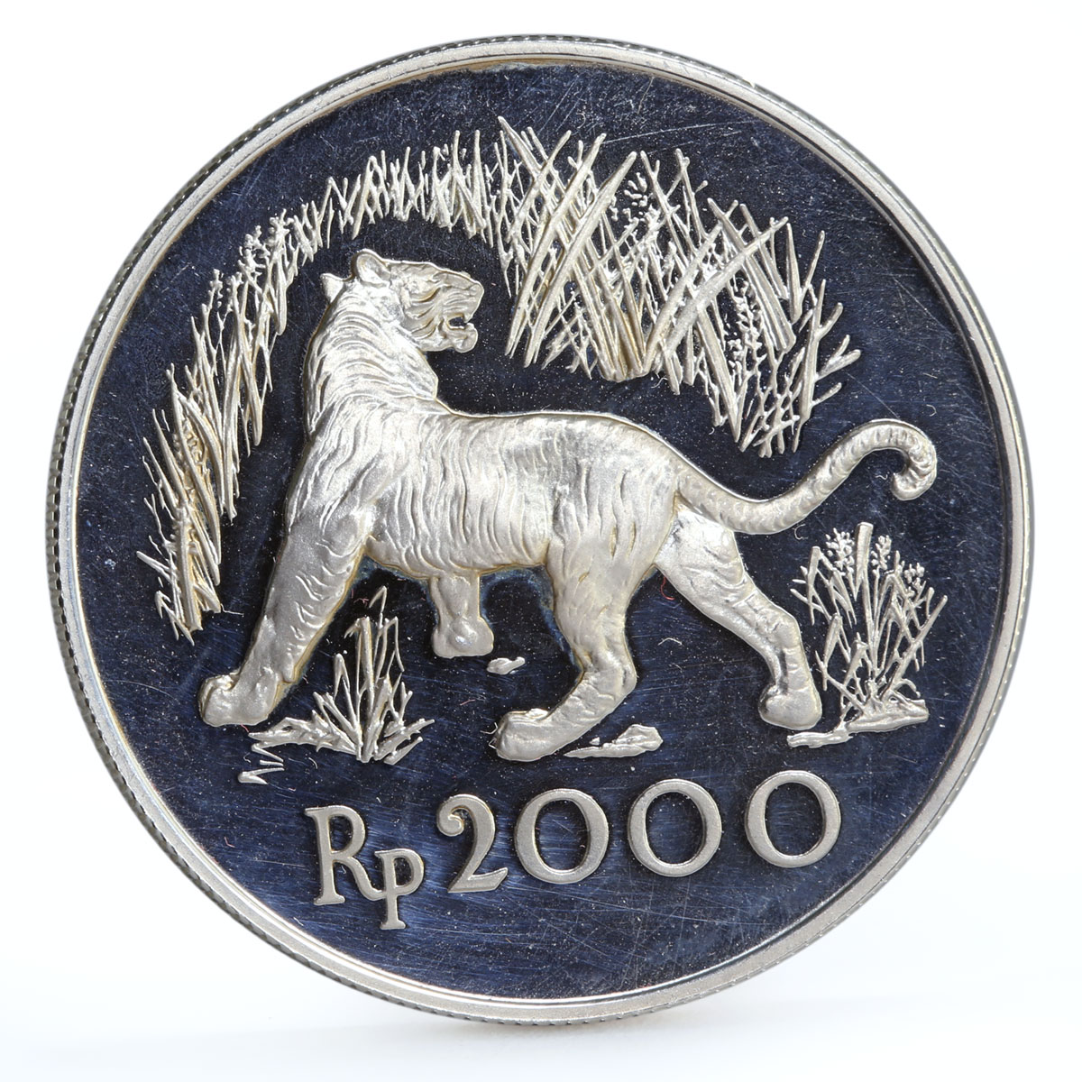 Indonesia 2000 rupiah Javan Tiger proof silver coin 1974