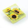 Belarus 10 Roubles Series Beauty of Flowers Sunflower Flora Proof coin 2013