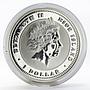 Niue 1 dollar Year of the Rat colored proof silver coin 2008