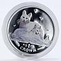 Isle of Man, 1 crown, Angora cat, silver, colorized, proof, coin 2011