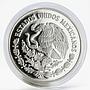 Mexico 100 pesos Animal Save the Vaquita Porpose silver proof coin 1992