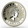 Niue 1 dollar Year of the Pig Wealthy colored silver proof coin 2007