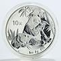 China 10 yuan Panda Series proof silver coin 2007