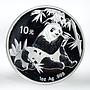 China 10 yuan Panda Series proof silver coin 2007