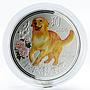 Niue 5 dollars Lunar Year of the Dog colored proof silver coin 2006