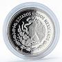 Mexico 500 pesos 75th Anniversary of 1910 Revolution proof silver coin 1985