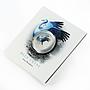 South Africa 10 rand Blue Crane Grus Paradisea silver colour coin 2017