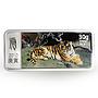 Liberia 10 dollars Year of the Tiger colored proof silver coin 2010