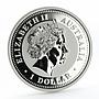 Australia 1 Dollar Year of the Pig Lunar Series I silver coin 2007