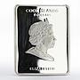 Cook Islands 5 dollars Masters of Art series Johannes Vermeer silver coin 2009