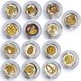 Britain set of 14 coins 25 Years of Royal One Pound gilded silver coins 2008