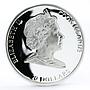 Cook Islands 20 dollars Raphael Art The Sistine Madonna colored silver coin 2009