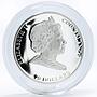 Cook Islands 20 dollars Raphael Art The Sistine Madonna colored silver coin 2009