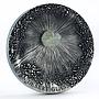 Chad 5000 francs Libyan Desert Glass Ultrahigh Relief silver coin 2017