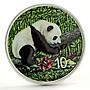 China 10 yuan Giant Panda Nantan Meteorite Space colored silver coin 2016