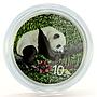 China 10 yuan Giant Panda Nantan Meteorite Space colored silver coin 2016
