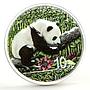 China 10 yuan Giant Panda Nantan Meteorite Space colored silver coin 2016