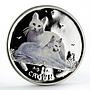 Isle of Man 1 crown Turkish Angora Cat Kitten colored silver coin 2011