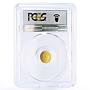 Palau 1 dollar Ancient Coinage Diocletian Aureus Matte MS70 PCGS gold coin 2011