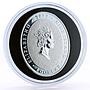 Niue 1 dollar Lunar Calendar series Year of the Dragon colored silver coin 2012