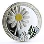 Armenia 1000 dram Beauty of Flowers Chamomile Flora colored silver coin 2010