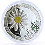 Armenia 1000 dram Beauty of Flowers Chamomile Flora colored silver coin 2010