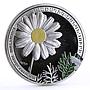 Armenia 1000 dram Beauty of Flowers Chamomile Flora colored silver coin 2010