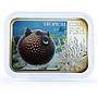 Niue 1 dollar Tropical Coral Fish Guineafowl Pufferfish colored silver coin 2013