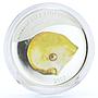 Palau 5 dollars Marine Life Protection Pinctada Maxima Shell silver coin 2007