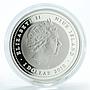 Niue 1 dollar Year of the Rabbit silver proof 1 oz coin 2010