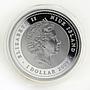 Niue 1 dollar Year of the Tiger Lunar silver color coin 2009