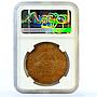 China 50 cash Honan Province Ho-nan MS61 BN NGC copper coin 1920