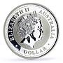 Australia 1 dollar Lunar Calendar I Year of the Rooster gilded silver coin 2005