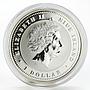 Niue 1 dollar Year of the Rat colored silver coin 2008
