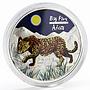 Congo 240 francs Big Five Africa Leopard colored silver coin 2008