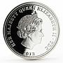 Tristan da Cunha 1 guinea The History of the Guinea Queen Anne silver coin 2013