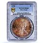United States 1 dollar Silver Eagle Walking Liberty MS66 PCGS silver coin 1990
