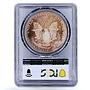 United States 1 dollar Silver Eagle Walking Liberty MS66 PCGS silver coin 1990