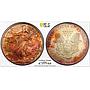 United States 1 dollar Silver Eagle Walking Liberty MS66 PCGS silver coin 1997