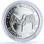 Zambia 5000 kwacha African Wildlife Elephant Animals Fauna silver coin 2002