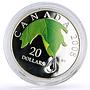 Canada 20 dollars Crystal Raindrop Maple Leaf colored proof silver coin 2008