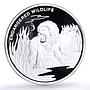 Congo 10 francs Conservation Wildlife Lion Tiger Fauna proof silver coin 2007