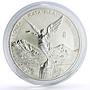 Mexico 1 onza Libertad Angel of Independence silver coin 1996
