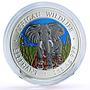 Somalia 1000 shillings African Wildlife Elephant Fauna colored silver coin 2004